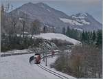 The TPF local train with the Be 4/4 121, B 207, B209 and ABt 221 by Lessoc on the way to Montbovon. 

03.12.2020