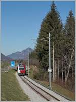 A TPF SURF is the local train on the way to Montbovon by Lessoc.