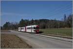 A TPF local train on the way to Broc Fabrique near La Tour-de-Trême. 

02.03.2021