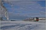 A SBB RBDe 560  Domino  on the way to Bulle between Sâles and Vauleruz    23.12.2021