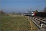 The TPF RABe 527 191 on the way to Romont by Vuistrens devant Romont.

01.03.2021