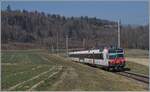 A SBB RBDe 560 on the way to Ins by Courtepin on the TPF Linie.