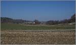 A SBB RBDe 560 on the way to Fribourg by Courtepin on the TPF Linie. 

09.03.2022