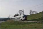The TPF RABe 527 192 on the way Ins by Pensier. 

29.03.2022