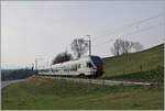 The TPF RABe 527 192 on the way Ins by Pensier. 

29.03.2022