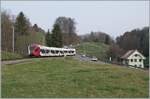 A TPF Flirt on the way to Fribourg near Pensier. 

29.03.2022