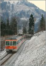 TPF/GFM local train in the Vally by Montbovon. 
23.01.2011.