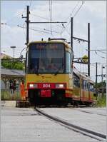 The TRAVYS/OC Be 4/8 003 in Chavornay is waiting for his departur to Orbe. 

15.08.2022