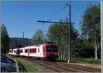 The Travis local train 6014 is arriving at Le Pont.