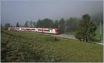 A Travy local train on the way to Vallorbe between Le Pont and Le Day.