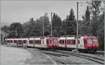 With the connection of the trains from Aigle to le Brassus, the TRAVAS trains will be replaced by SBB RABe 523 and 523.1 Flirts from the beginning of August.