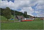 The transN (ex cmn) BDe 4//4 N° 8 is on the way as R 22 319 from La Chaux de Fonds to Les Ponts de Martel and has just reached the small stop Les Coeudres, where it passes through without