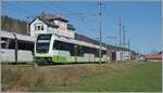 The new cmn transN ABe 4/6 No. 10 crosses its oncoming train in La Sagne. A scene that has gained a certain notoriety, probably because the train crossing has been taking place for years, but only once a day (Mondays to Fridays, excluding public holidays).
October 28, 2024