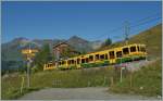 A WAB Train on the way to the Kleine Scheidegg near the Station Wengeneralp.