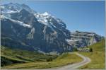 WAB Train near the Kleine Scheidegg. 21.08.2013