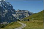 WAB Train near the Kleine Scheidegg. 21.08.2013