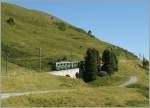 A WAB Train near the Kleine Scheidegg. 21.08.2013
