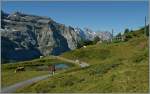 A WAB Service between the Wengeralp and the Kleine Scheidegg.