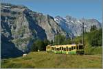 A WAB local train between Wengeneralp and Kleine Scheidegg.