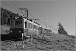 WAB locl train betwenn Wengernalp and Kleine Scheidegg.