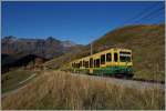 A WAB local train betweeen Wengeralp and Kleine Scnheidegg.
09.10.2014