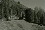 WAB local Train between The Kleine Scheidegg and Wengerneralp  09.10.2014