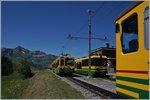 WAB trains on the Wengeralp.