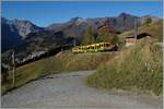 A WAB local train by the Wengerner Alp Station. 

09.10.2014