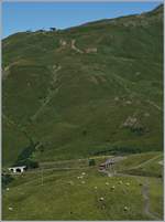 View on the Kleine Scheidegg with WAB und JB trains.
