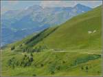 A WAB train pictured in the wonderful landscape between Wengen and Kleine Scheidegg on July 30th, 2008.