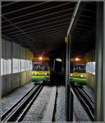 Meeting of two WAB trains between Kleine Scheidegg and Grindelwald on July 30th, 2008.