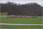 A WB BDe 4/4 with his local service between Hölstein and Lampenberg-Ramlinsburg.