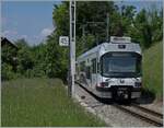 The AAR (ex WSB) ABe 4/8 N° 29 by Zetzwil on the way to Aarau.