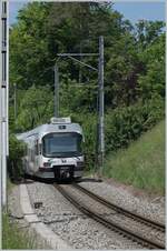 The AAR (ex WSB) ABe 4/8 N° 29 by Zetzwil on the way to Aarau.