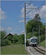 An AVA/AAR ABe 4/8 has left Zetzwil and is now driving through an old moraine hill towards Aarau.