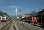 A Brnig-Railway Fast Train is arriving at Meirigen.