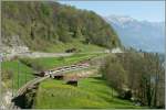 A Zentralbahn IR form Luzern to Interlaken by Oberried. 
09.04.2011