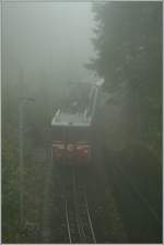 Heavy fog in the dark wood by  Grünenwald  on the LSE Line to Engelberg.
18. 10.2010