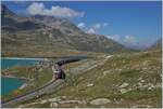 A RhB  Allegra  with a Bernina Express on the way to Tirano near the Bernina Ospizio Station. 

13.09.2013