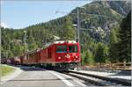 The RhB Gem 4/4 801 and the RhB ABe 4/4 II 44 with a Bernina local service on the way to St Moritz by his stop in Morteratsch.