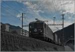 RhB Ge 4/4 II 621 with a Cargo Train in Chur Wiesental.