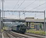 The ST E 3/3 N° 5  Tigerli  (UIC 90 85 0008 479-7-1) is arriving at Sursee.