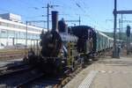 SBB Historic Tigerli Class steamer 8512 hauls a steam shuttle  train into Brugg AG station on 24 May 2026 during the annually held Pentecost Open Weekend at the depot works of Verein Mikado 1244.