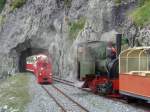 2 ft gauge steam engine  Liseli  (Jung No 1693, built 1911) in service on the high alpin panoramic railway of  Parc d'Attractions du Chatelard (VS)  in Switzerland.