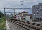 The TGV LYria 4723 in Prilly-Malley on the way to Paris. 

17.07.2020