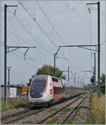 The TGV 9763 from Paris Gare de Lyon to Genève in Satigny. 

28.06.2021