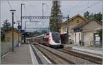 The TGV 9763 from Paris Gare de Lyon to Genève in Satigny.