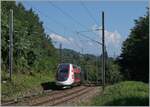 The TGV Lyria 4725 on the way from Paris Gare de Lyon to Geneva between Pougny Chancy and La Plaine. 

06.09.2021