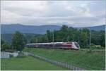 A TGV Lyria von the way to Paris by Pogny-Chancy.