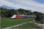 The TGV Lyria 4730 from Geneva to Paris by Pougny.